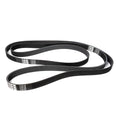 Serpentine Belt - 2013-2018 Ram 6.7L Dual Alternator 3297mm 8 Rib Pacific Performance Engineering